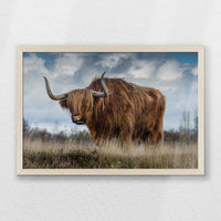 PN-060W040
