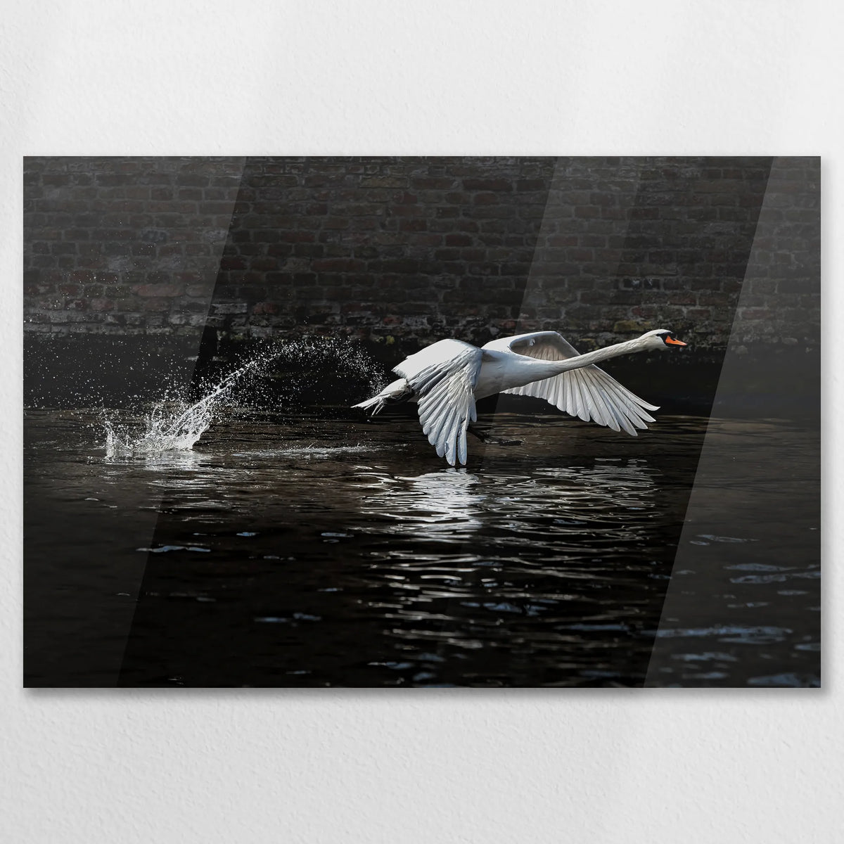AC-075W050