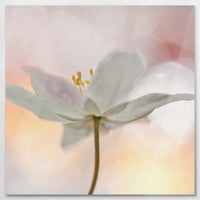 AL-070W070