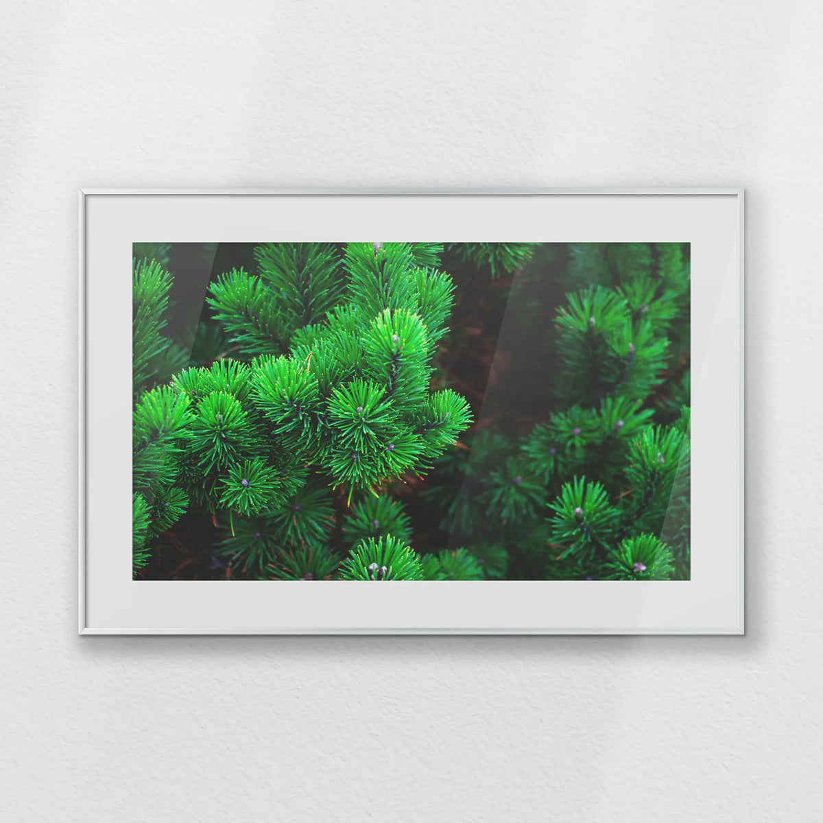PSP093W062