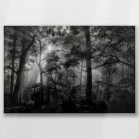 LW-045W030