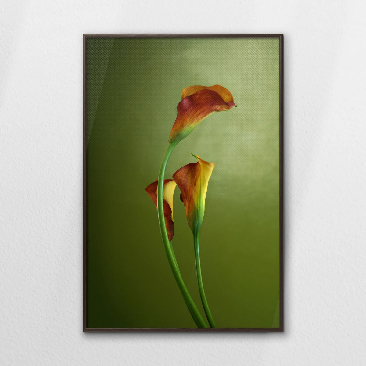 LWN080W120