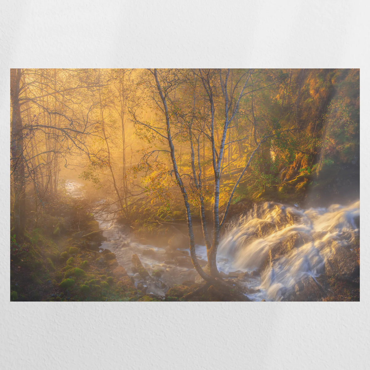 PO-075W050