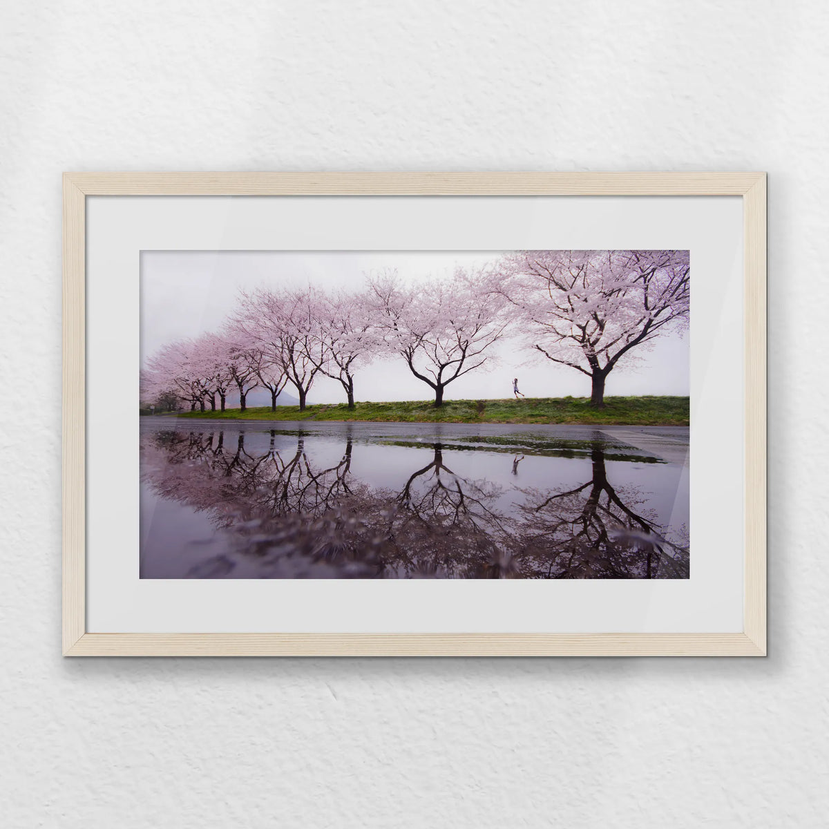 PNP060W040