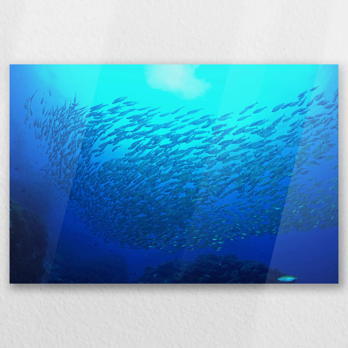 AC-030W020