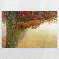 PO-030W020