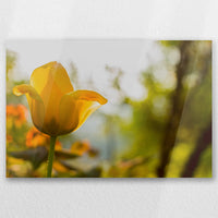AC-030W020