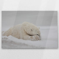 AL-045W030