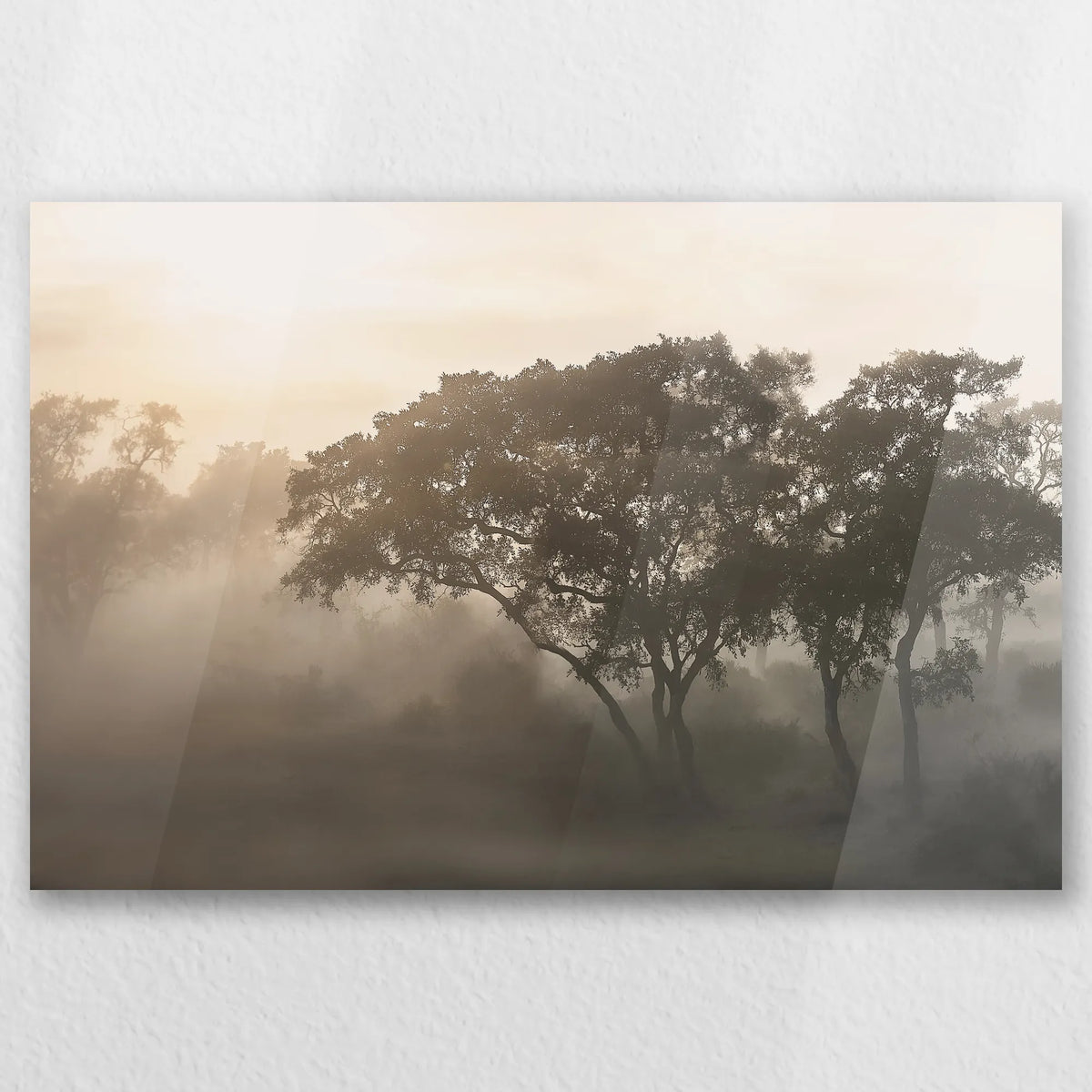 AC-030W020