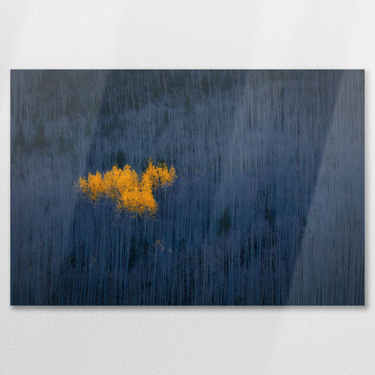 AL-075W050