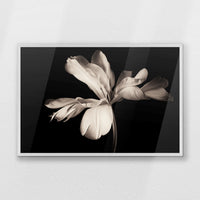 PW-093W062