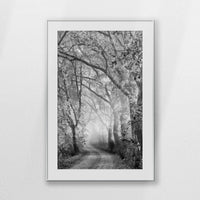 PSP080W120