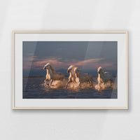 PNP093W062