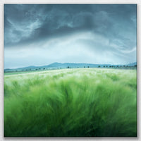 LW-080W080