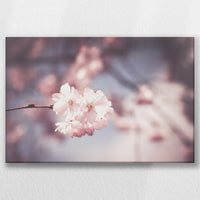 LW-045W030
