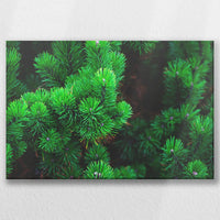 LW-030W020