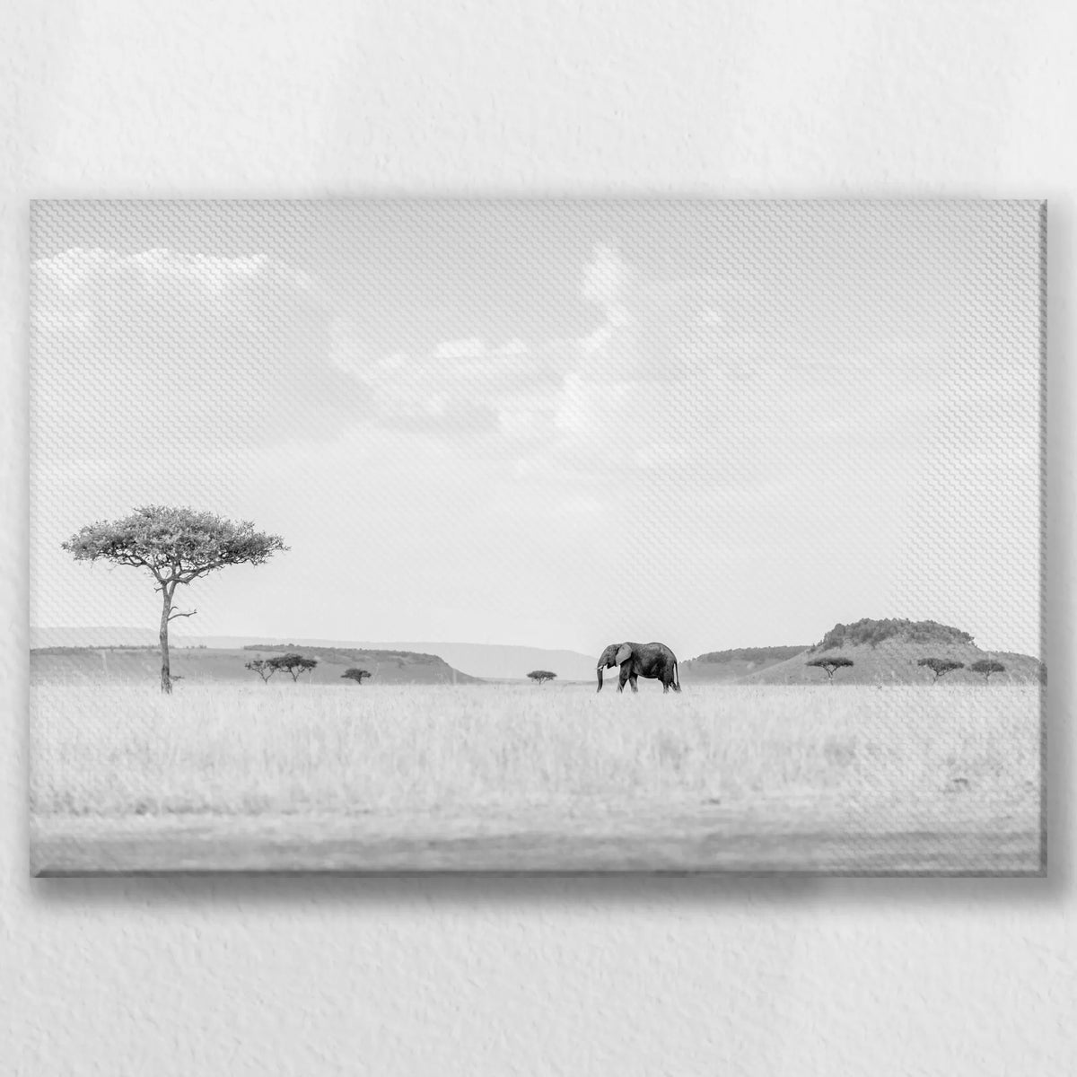LW-045W030