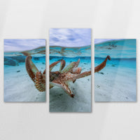 AL-120T080