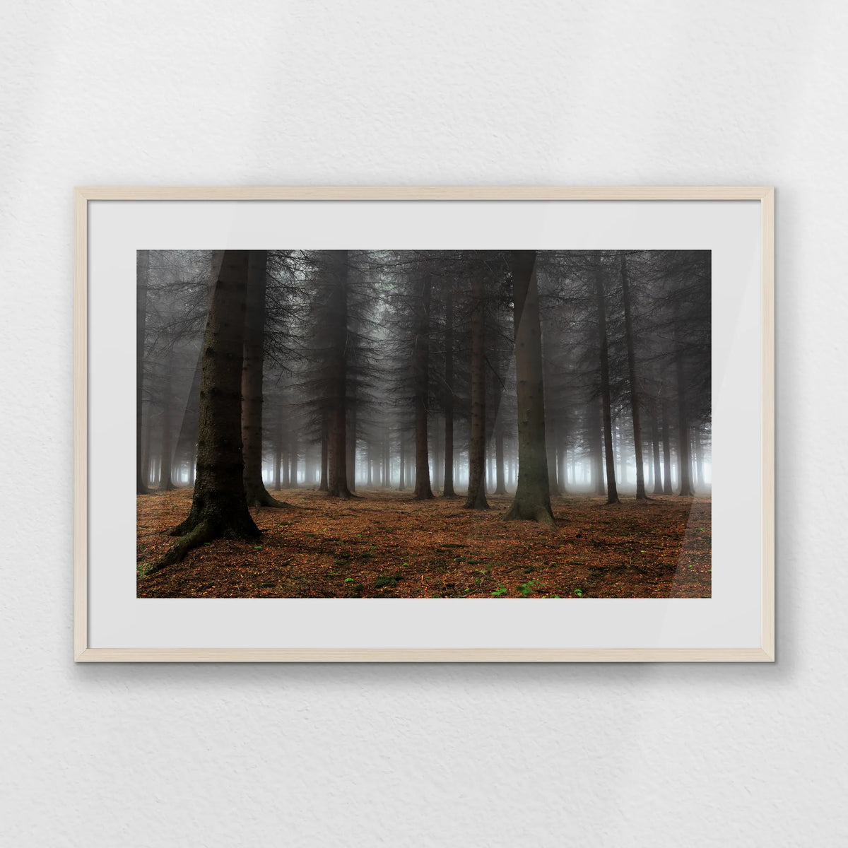 PNP093W062