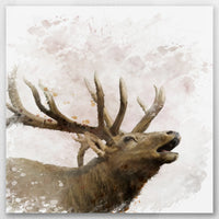 AC-030W030