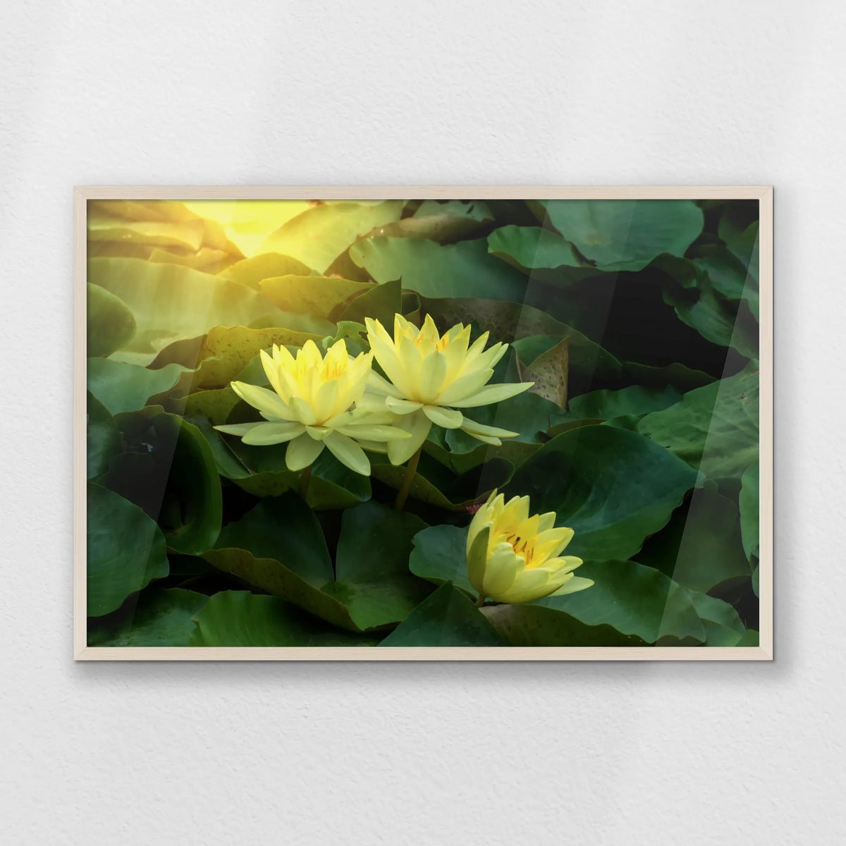 PN-093W062