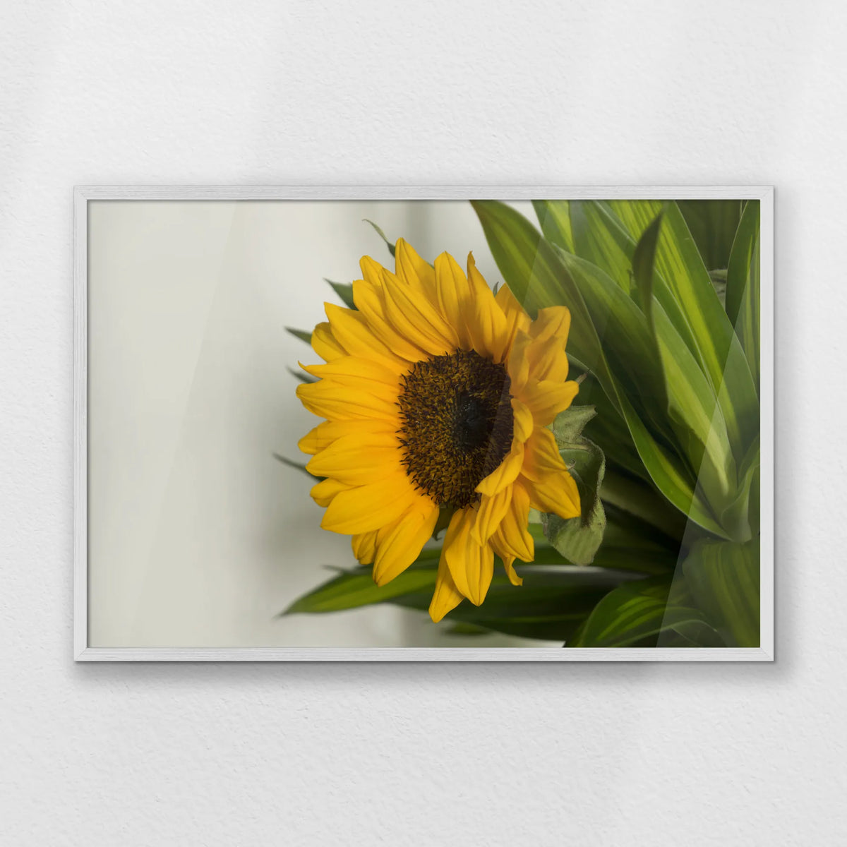 PW-093W062
