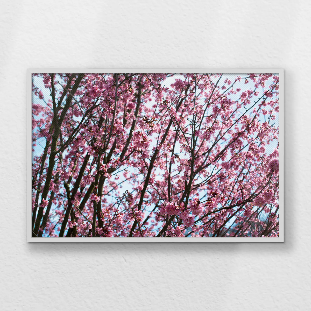 LWW100W070