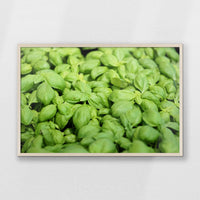 PN-093W062