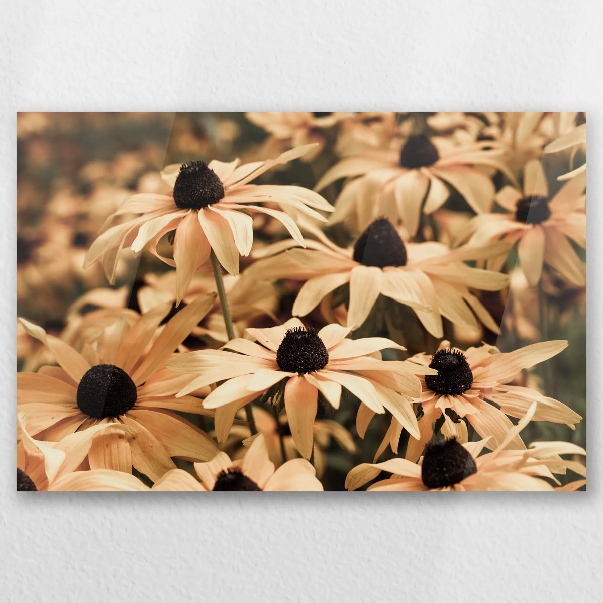 AC-045W030