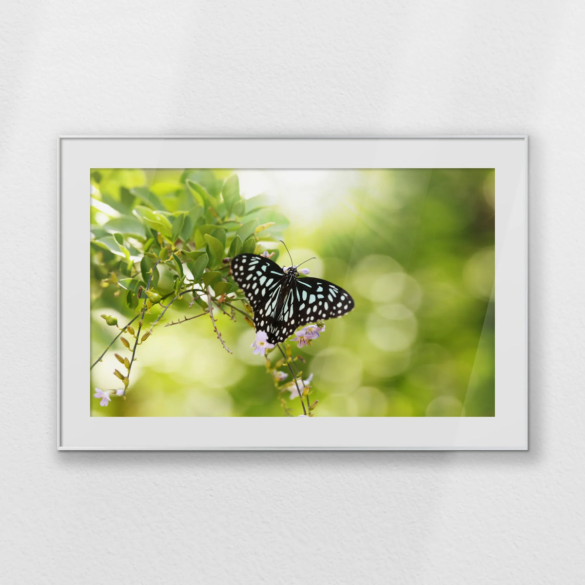 PSP120W080
