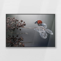 PB-100W070
