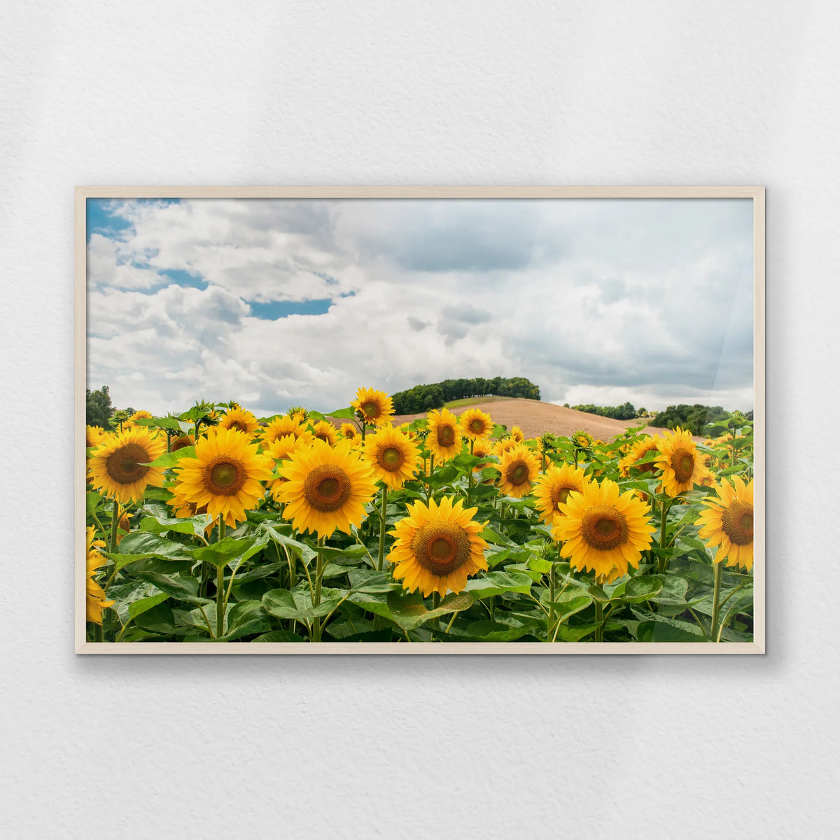 PN-100W070