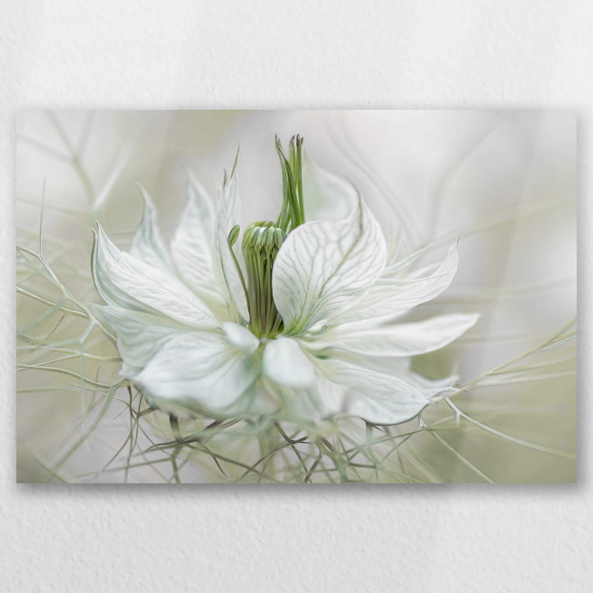 AL-045W030