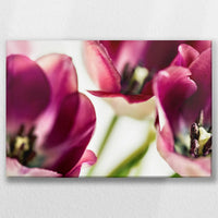 LW-060W040