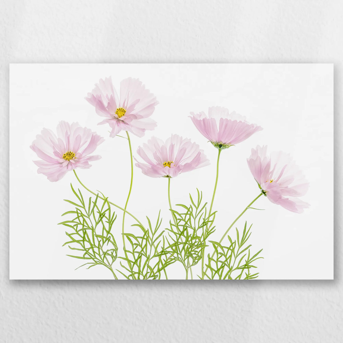 AL-045W030