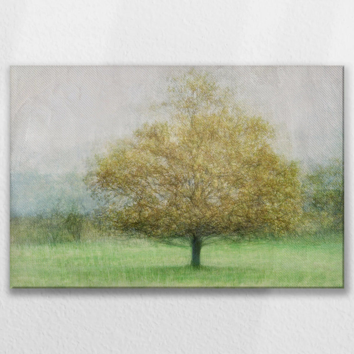 LW-075W050
