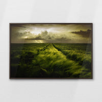 LWN120W080
