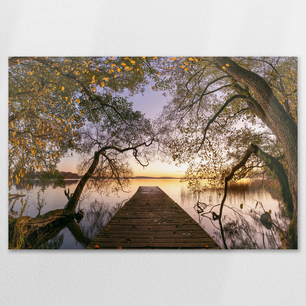 AL-120W080