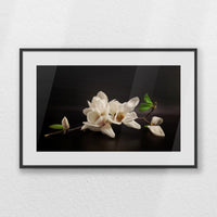 PBP060W040