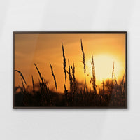 LWN120W080