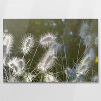 AC-075W050