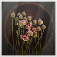 PO-040W040