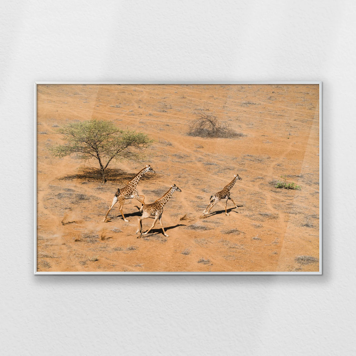 PS-093W062