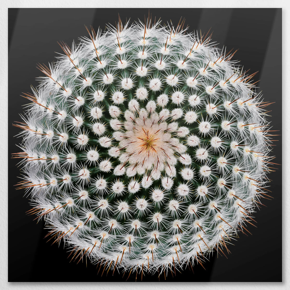 AL-070W070