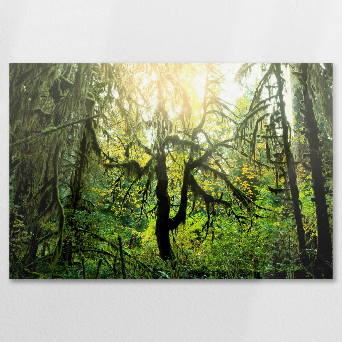 AL-075W050