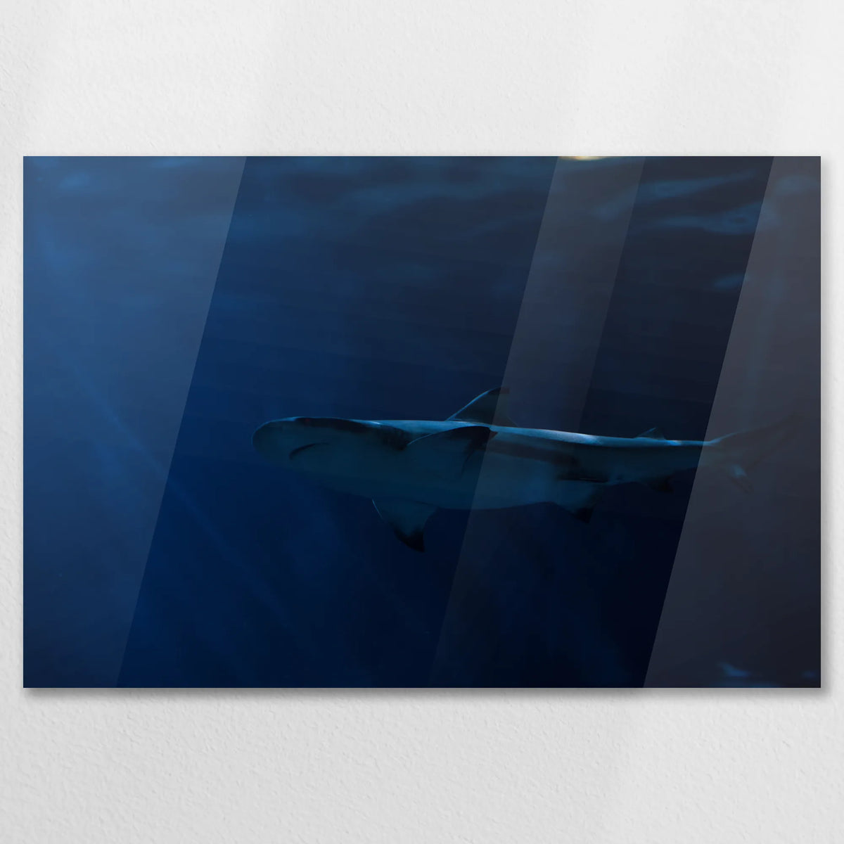 AC-075W050