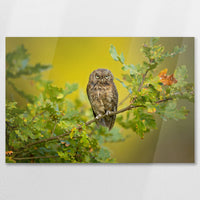 AC-090W060