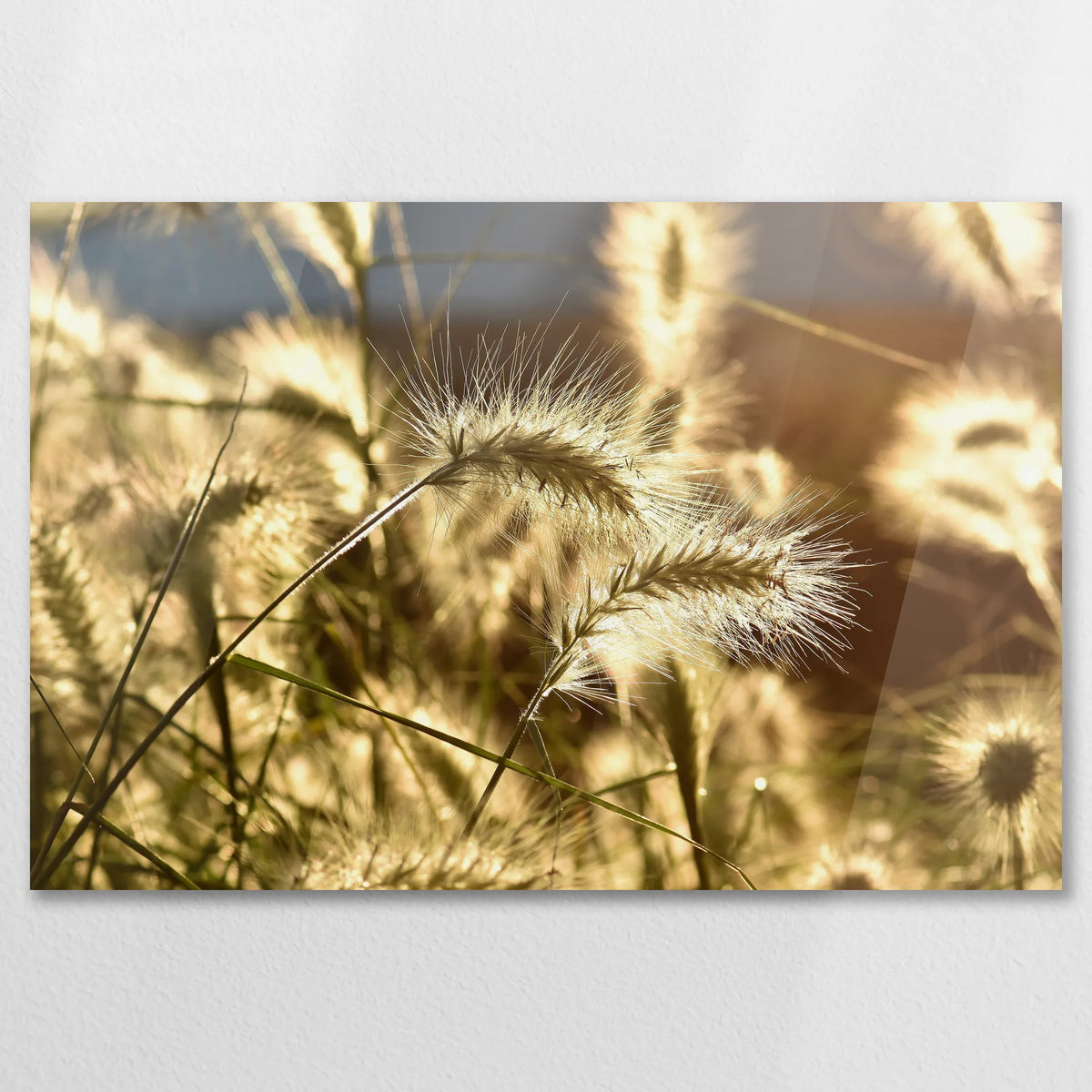 AC-075W050
