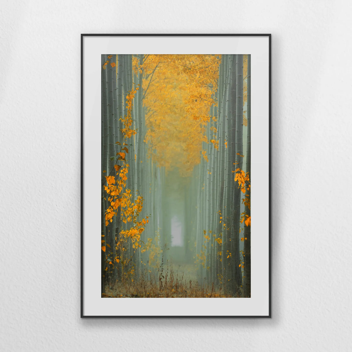 PBP070W100