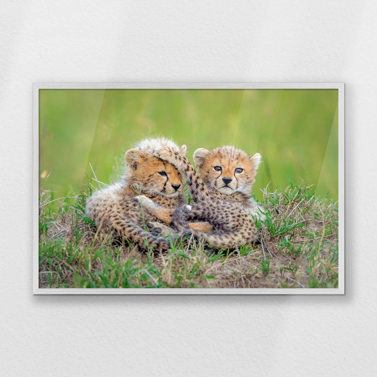 PW-093W062